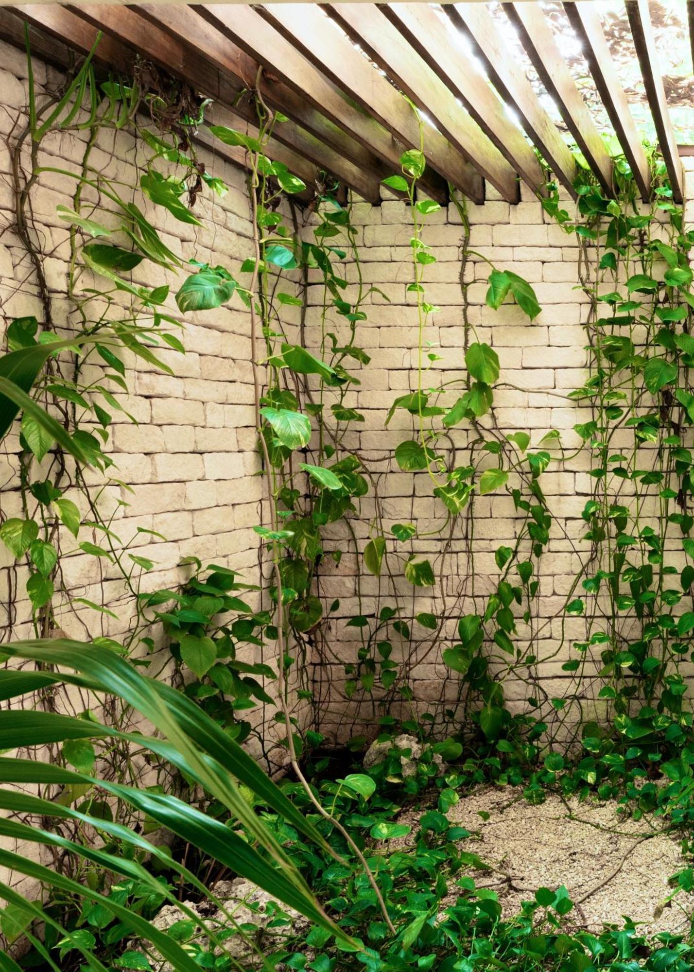 Jungle Keva Tulum Villa Lodges & Venue Exteriör bild